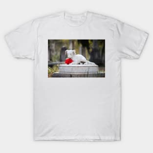 Dog Tombstone With Red Flower T-Shirt